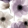 blueberriesss_45