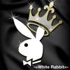 -=White Rabbit=-