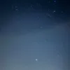 caelimanus7