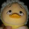 akunasbun1101