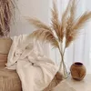 queenamecca01