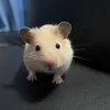 kndaaaaaa