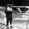 dvampz1