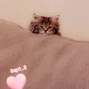 ranooazooz