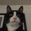 alyssavillegass