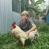 tuanan01.07.1996
