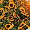 sunflowerpowerrrrr