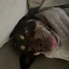 _.rocky._452