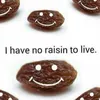im_a_dumb_raisin