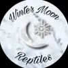 wintermoonreptiles