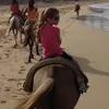 allybrezak