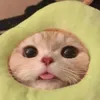 diegoisfueg0
