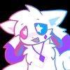kittydog_real