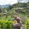 _annahh2