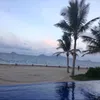 lillythistle_