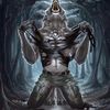 lolilytoo