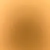 sofie.887