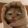 user180703331