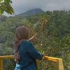 llpaaa_