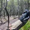 araaputri_real