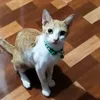 iamgrootttttttt0