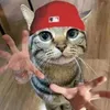 jordaniskl