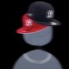 el_frozonochileno11