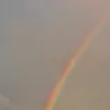 rrf61