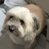 maaayonaaiise