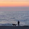annio_05