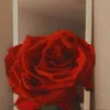 sunshinethe1nonly