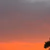 mi.li014