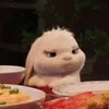 🐰