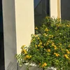 propertymarket_