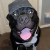 bronsonbigsoftie