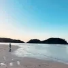 raemonichiwawa