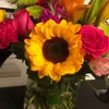 sunflowergirl2600