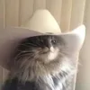 gdawglol8
