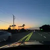 haleylewis.1