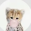 itsdagurlll0