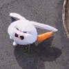 crunchchy