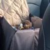ocprincesspups
