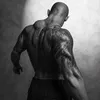 chrisgosstheboss