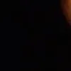 user829042682
