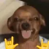 ggwbriela
