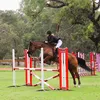 nikitajones_equestrian