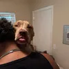 ggiiaaaaaaa