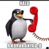 froccsalegjobb