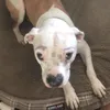 bailey.smitth