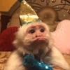 lauranegrette_